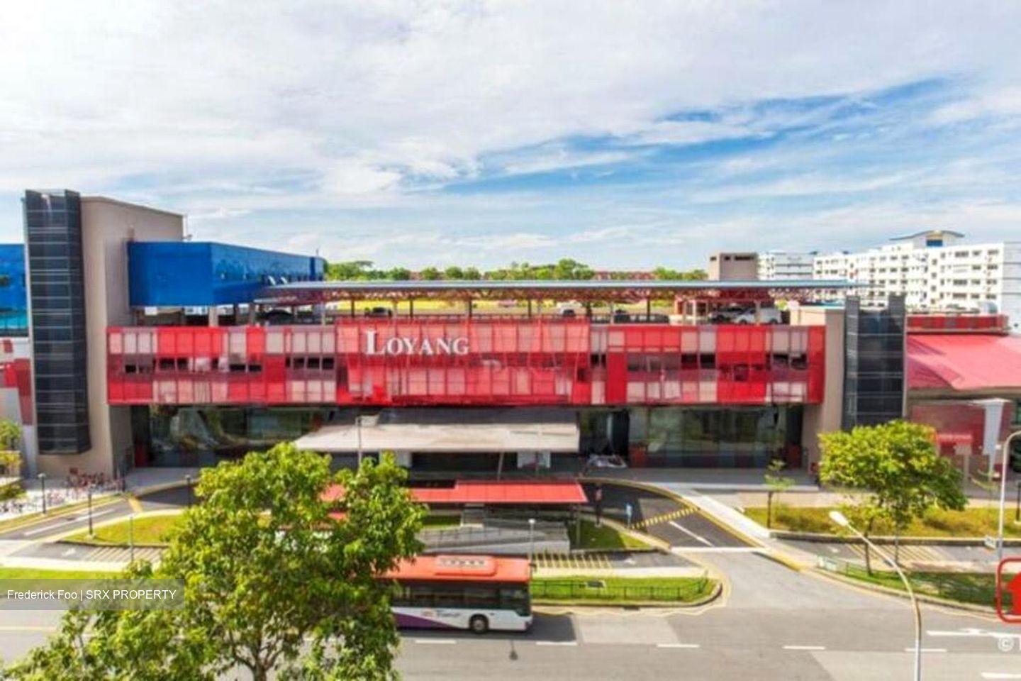 Blk 239 Pasir Ris Street 21 (Pasir Ris), HDB Executive #576380651